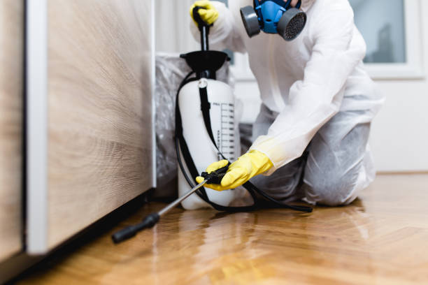 Best Pest Prevention Services  in Amite City, LA