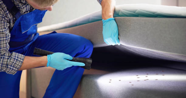 Best Emergency Pest Control  in Amite City, LA
