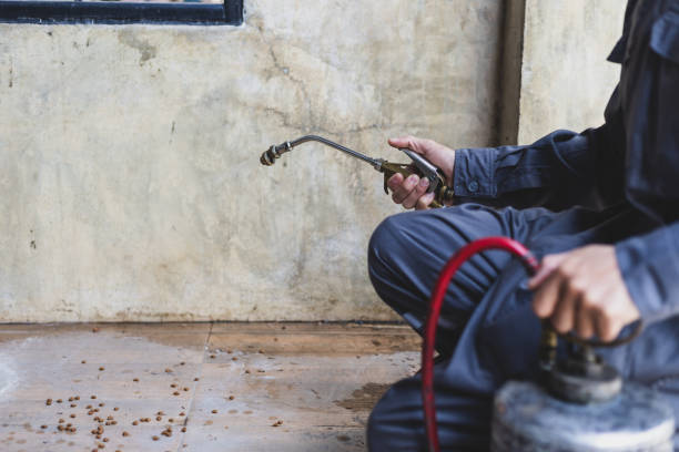 Best Residential Pest Control  in Amite City, LA
