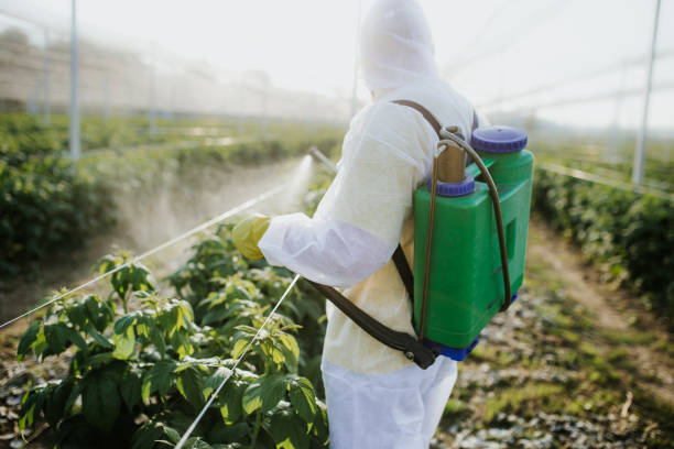 Best Affordable Pest Control Services  in Amite City, LA